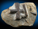 Staurolite (cruciform twin) from Keivy Mountains, Kola Peninsula, Murmanskaja Oblast', Russia
