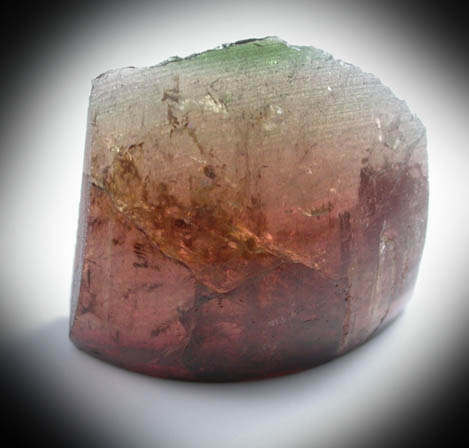 Liddicoatite Tourmaline from Anjanabonoina, near Antsirab, Betafo District, Vakinankaratra, Madagascar