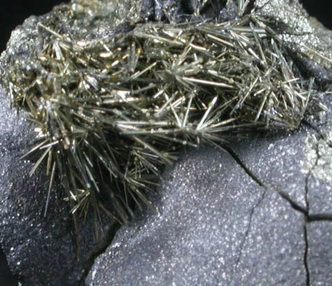 Millerite and Galena on Pyrite from Meikle Mine, 42-20 Heading, Griffin Ore Body, Elko County, Nevada