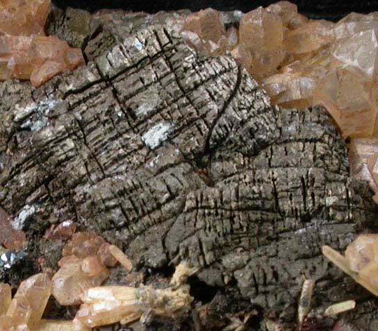 Pyrite pseudomorphs after Pyrrhotite with Quartz from Santa Eulalia District, Aquiles Serdn, Chihuahua, Mexico