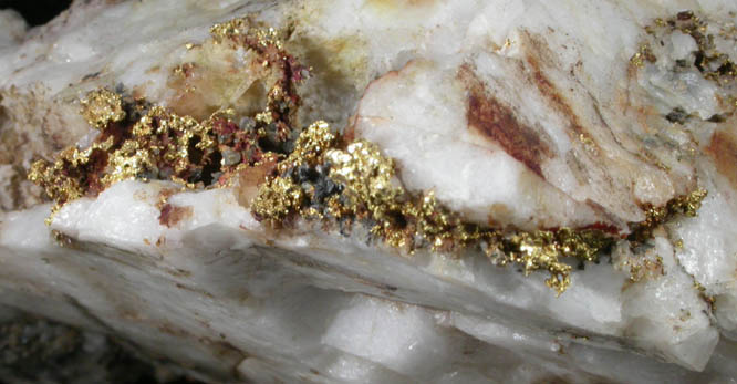 Gold in Quartz from Mother Lode District, Tuolumne County, California