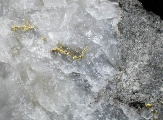 Gold in Quartz from Red Lake Mine, Ontario, Canada