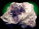 Lepidolite in Cleavelandite from Plumbago Mtn., Newry, Maine