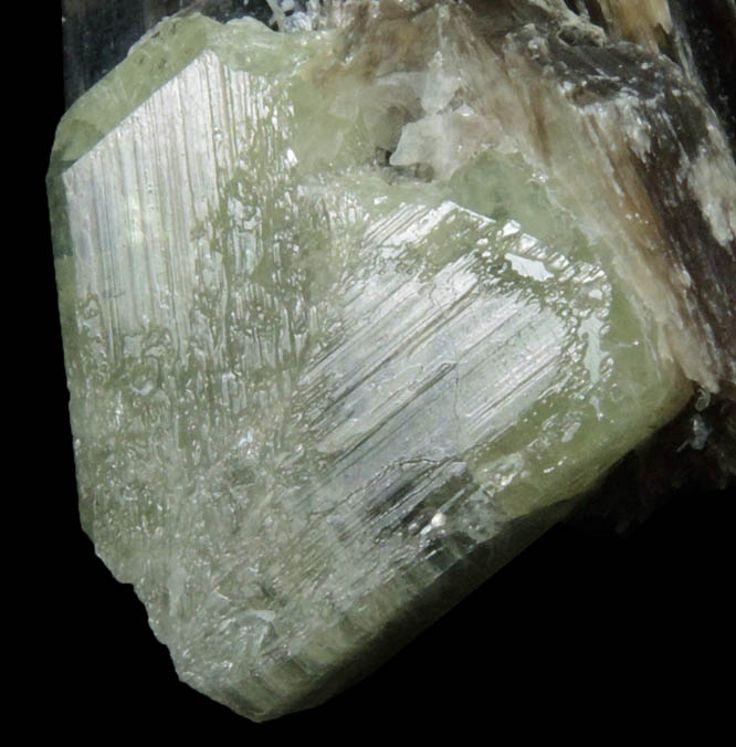 Chrysoberyl (V-twinned crystals) from Rio das Pratinhas, Arataca, Bahia, Brazil