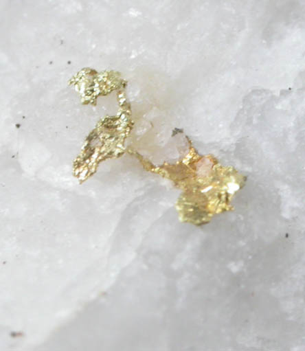 Gold in Quartz with Pyrite from Ham Coward Gulch, Mariposa County, California