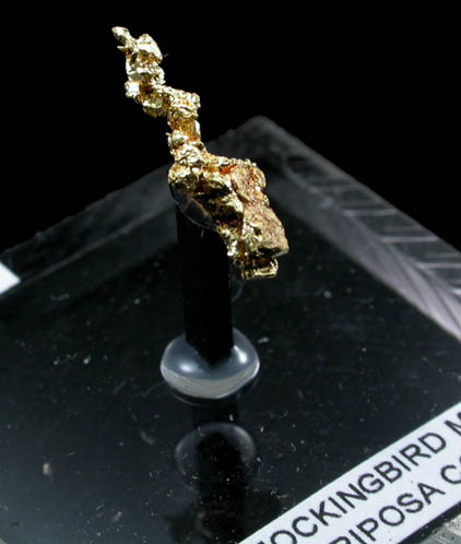 Gold from Mockingbird Mine, Mariposa County, California