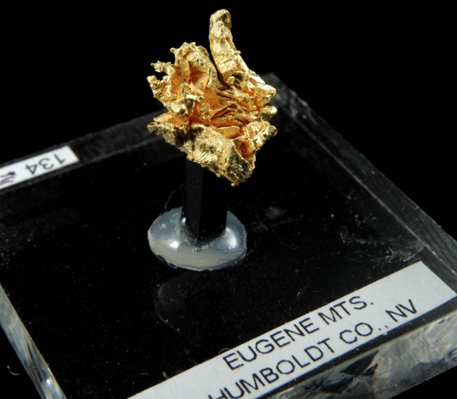 Gold from Eugene Mountains, Humboldt County, Nevada