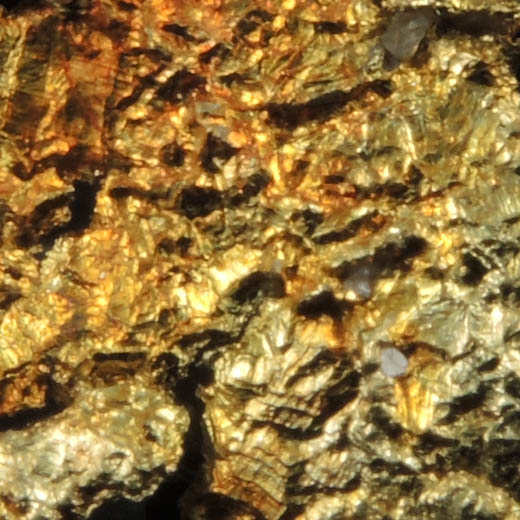 Gold from Yandal, near Kalgoorlie, Western Australia, Australia