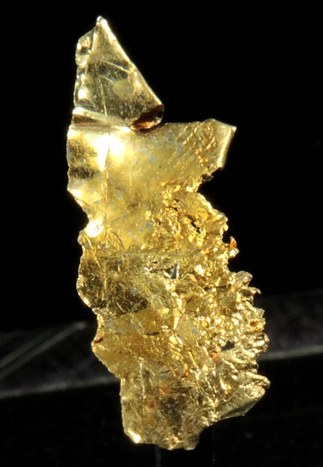 Gold from Yandal, near Kalgoorlie, Western Australia, Australia