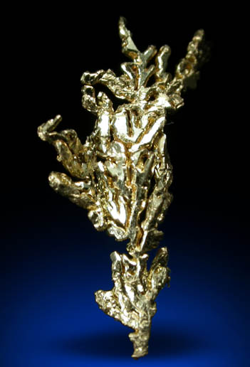 Gold from Eagle's Nest Mine, Michigan Bluff District, Placer County, California