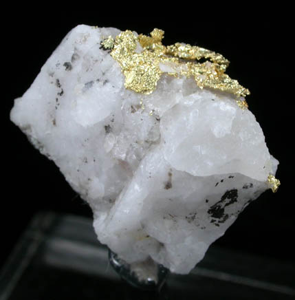 Gold in Quartz from Harvard Open Pit Mine, Jamestown, Tuolumne County, California