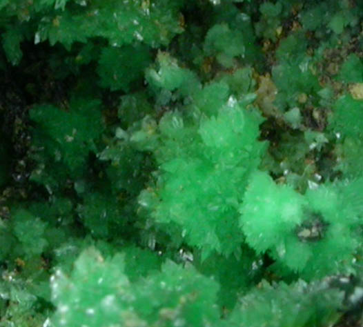 Annabergite from Kamareza Mine, Lavrion (Laurium) Mining District, Attica Peninsula, Greece