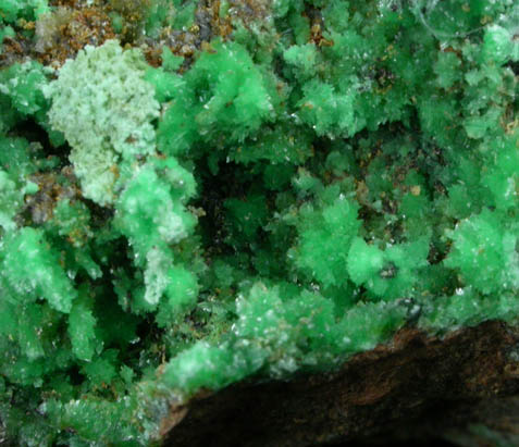 Annabergite from Kamareza Mine, Lavrion (Laurium) Mining District, Attica Peninsula, Greece