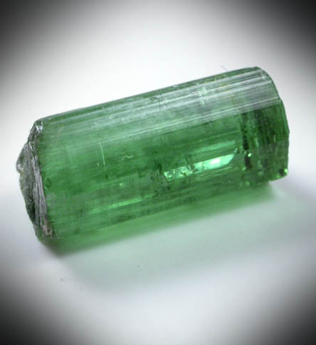 Elbaite Tourmaline from Keith Quarry, Mt. Apatite, Auburn, Androscoggin County, Maine