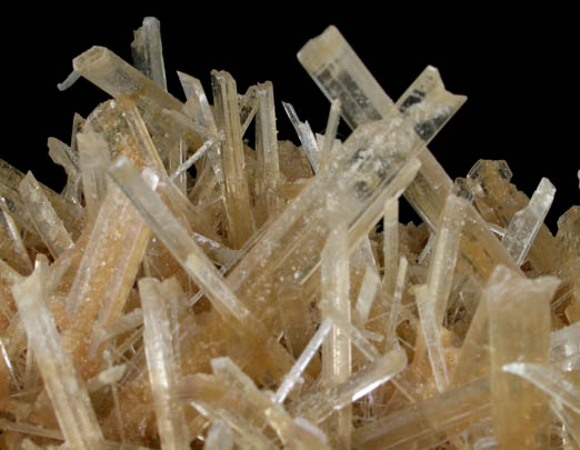 Gypsum var. Selenite from Polkowice Mine, Legnica, Lower Silesia, Poland
