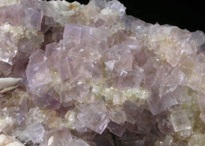 Fluorite with Barite from Berbes District, Ribadesella, Asturias, Spain