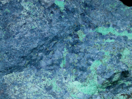 Ajoite on Shattuckite from New Cornelia Mine, Ajo, Pima County, Arizona (Type Locality for Ajoite)