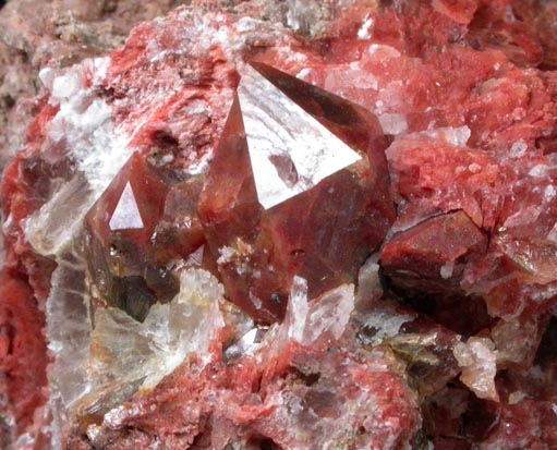 Quartz with Hematite inclusions in Gypsum from Chella, Valencia, Spain