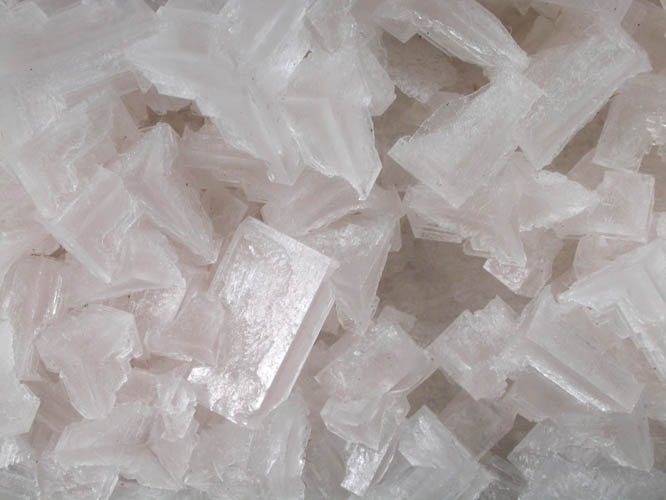 Halite from Searles Lake, east of Trona, San Bernardino County, California