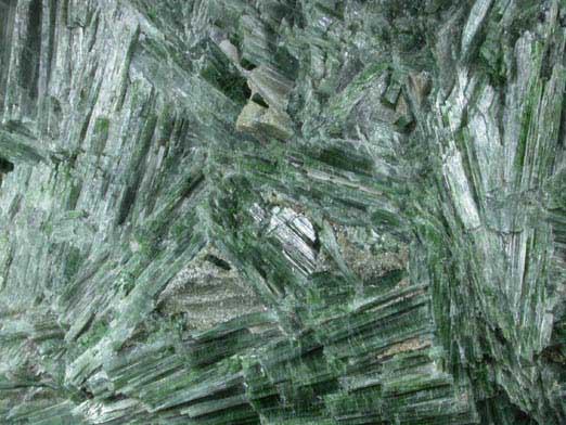 Actinolite from Dry wash on Highway 2, near Wrightwood, San Bernadino County, California