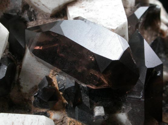 Quartz var. Smoky Quartz (Dauphiné-law twins) on Microcline from Moat Mountain, Hales Location, west of North Conway, Carroll County, New Hampshire