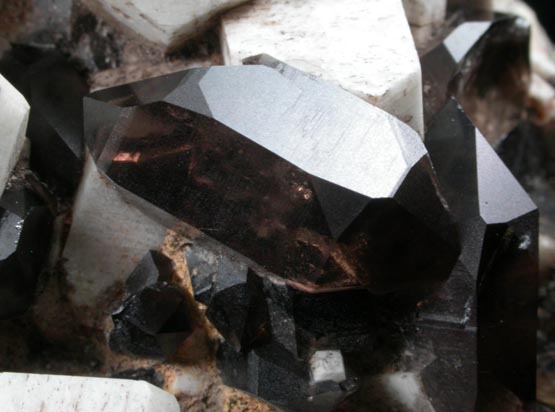 Quartz var. Smoky Quartz (Dauphin-law twins) on Microcline from Moat Mountain, Hales Location, west of North Conway, Carroll County, New Hampshire