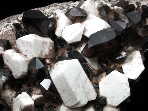 Quartz var. Smoky Quartz (Dauphin-law twins) on Microcline from Moat Mountain, Hales Location, west of North Conway, Carroll County, New Hampshire