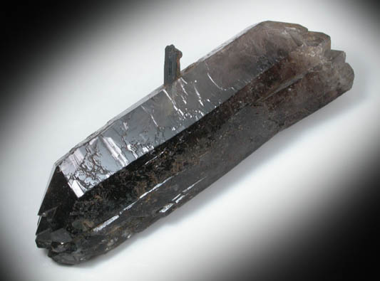 Quartz var. Smoky Quartz with Arfvedsonite from Hurricane Mountain, east of Intervale, Carroll County, New Hampshire