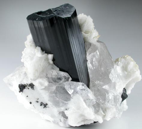 Schorl Tourmaline with Quartz and Albite var. Cleavelandite from Bulochi, near Shengus, Skardu District, Gilgit-Baltistan, Pakistan