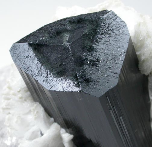 Schorl Tourmaline with Quartz and Albite var. Cleavelandite from Bulochi, near Shengus, Skardu District, Gilgit-Baltistan, Pakistan