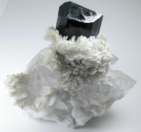 Schorl Tourmaline with Quartz and Albite var. Cleavelandite from Bulochi, near Shengus, Skardu District, Gilgit-Baltistan, Pakistan