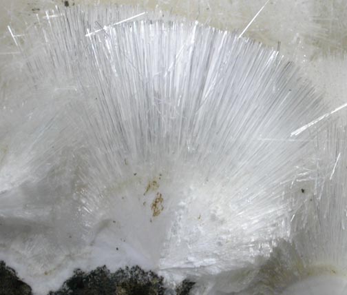 Natrolite from Robertson Quarry, near Dayton, Mason County, Washington