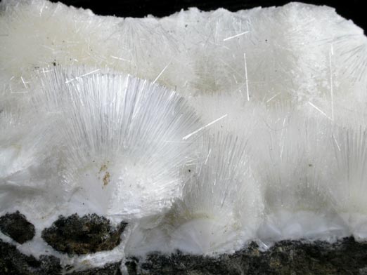 Natrolite from Robertson Quarry, near Dayton, Mason County, Washington