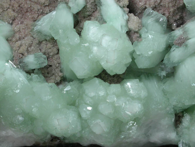 Apophyllite and Stilbite on Heulandite from Lonavala Quarry, Pune District, Maharashtra, India