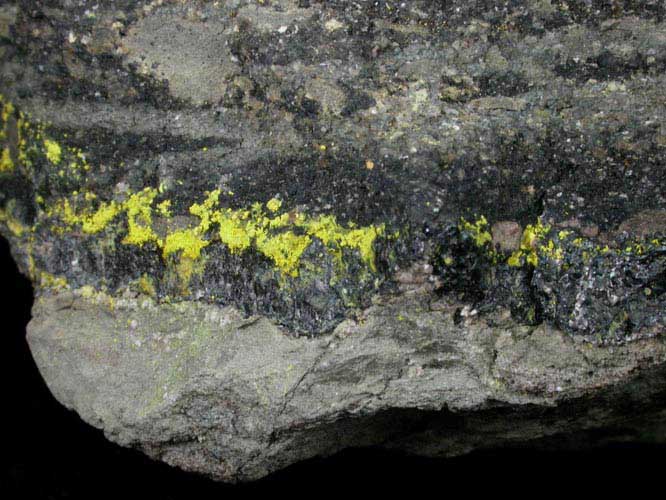 Natrozippeite-Uranopilite in Uraninite-rich matrix from Jackpile Mine, Cibola County, New Mexico