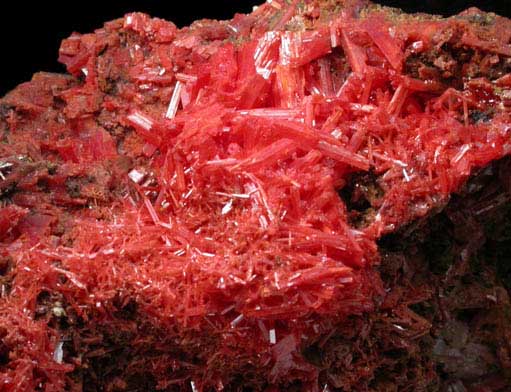 Crocoite from Red Lead Mine, Dundas, Tasmania, Australia