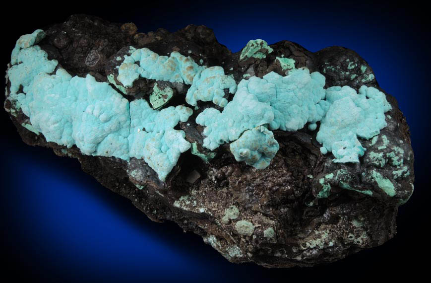 Rosasite on Mn-rich gossan from Silver Bill Mine, Courtland-Gleeson District, Cochise County, Arizona