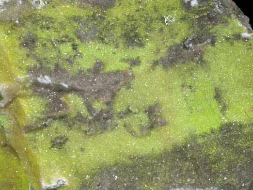 Tyuyamunite with Calcite overgrowth from Ambrosia Lake Uranium District, near Grants, McKinley County, New Mexico