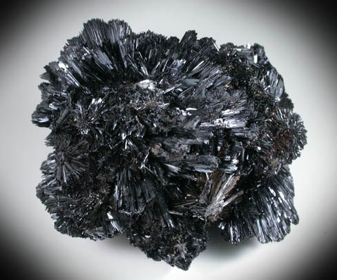 Goethite from Dreamtime Claim, Crystal Creek area, north of Lake George-Florissant, Teller County, Colorado