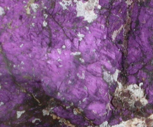 Purpurite with Alluaudite and Muscovite from Storm Mountain District, Larimer County, Colorado