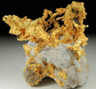 Gold (crystallized) in Quartz from Colorado Quartz Mine, Mariposa County, California