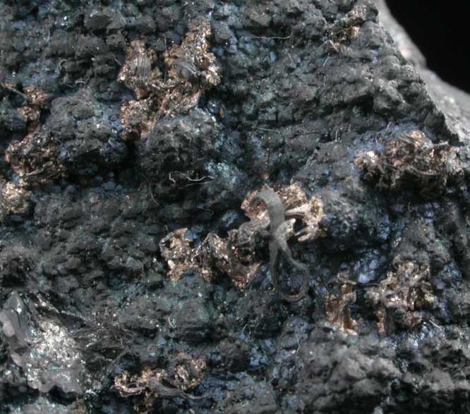 Silver on Bornite from San Martin District, Zacatecas, Mexico