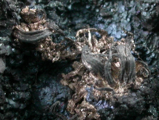 Silver on Bornite from San Martin District, Zacatecas, Mexico