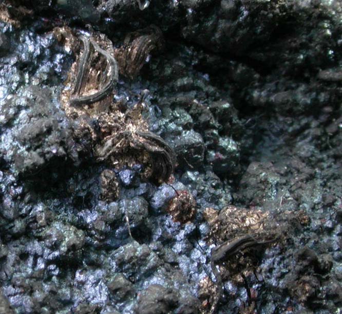 Silver on Bornite from San Martin District, Zacatecas, Mexico