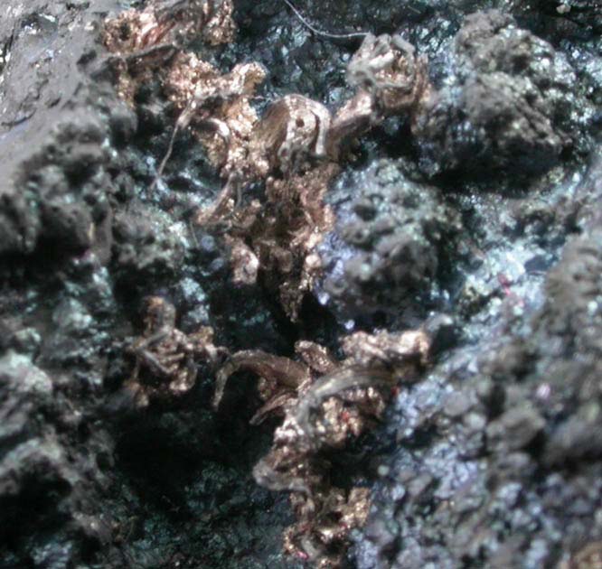 Silver on Bornite from San Martin District, Zacatecas, Mexico