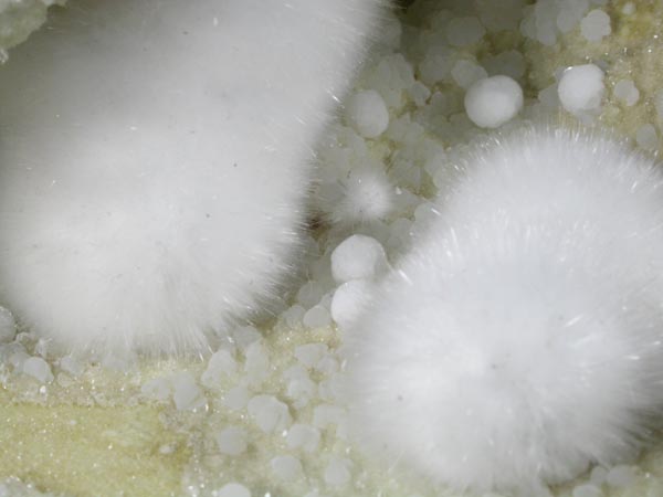 Okenite and Gyrolite on Quartz from Malad Quarry, Mumbai (Bombay) District, Maharashtra, India