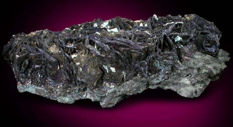 Covellite with Pyrite from Reynolds Tunnel, Summitville, Rio Grande County, Colorado