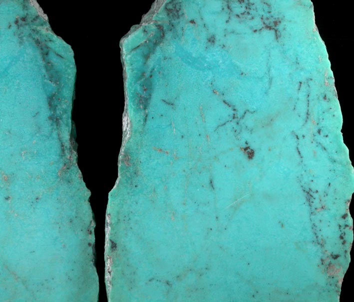 Turquoise from Kingman District, Mohave County, Arizona