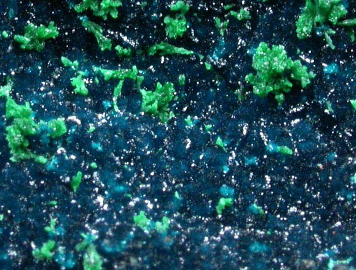 Cornetite with Malachite from L'Etoile du Congo Mine, Lubumbashi, Katanga Copperbelt, Haut-Katanga Province, Democratic Republic of the Congo (Type Locality for Cornetite)