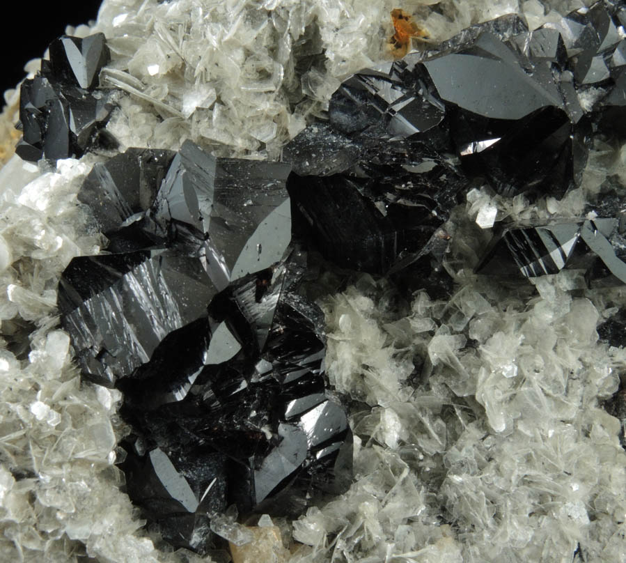 Cassiterite (twinned crystals) on Muscovite from Xuebaoding Mountain near Pingwu, Sichuan Province, China